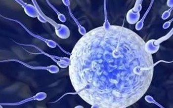 试管移植后怎么做容易着床？