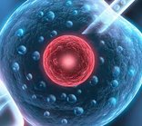 深圳做试管费用高吗？影响试管费用的因素有哪些？