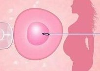 子宫腺肌症对试管婴儿有影响吗？