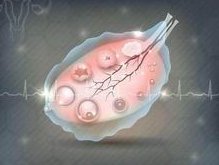 美国三代试管婴儿生子,有哪些流程？