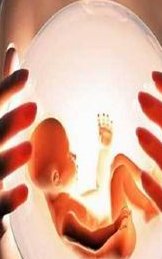 做试管婴儿是否需要切除子宫肌瘤？