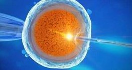 试管婴儿促排卵时，一定要注意这五大问题