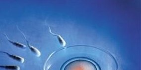 在赣州做试管一般需要多少钱？治疗流程是怎么样的？