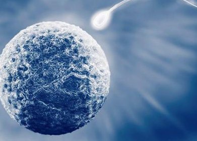 经期前几天同房会怀孕吗？备孕小诀窍看这里！