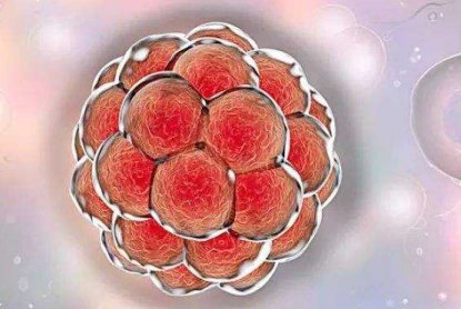 2026广东试管婴儿医院推荐：北大深圳医院试管技术如何