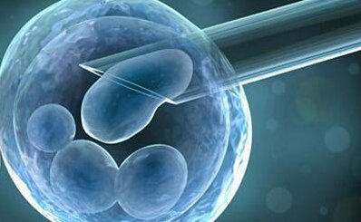 春天是怀孕好的季节？春天怀孕这些你意想不到的好处！